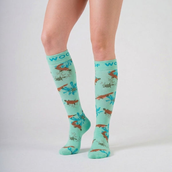 //sa.drwoofapparel.com/cdn/shopifycloud/storefront/assets/no-image-2048-a2addb12_grande.gif